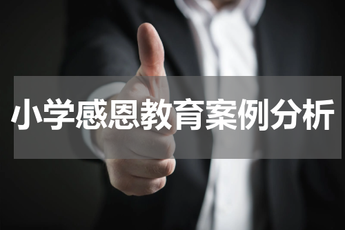 小学感恩教育案例分析