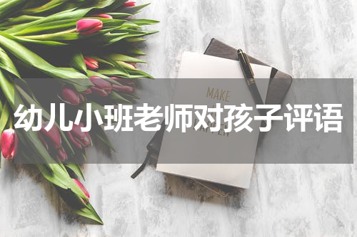 幼儿小班老师对孩子评语