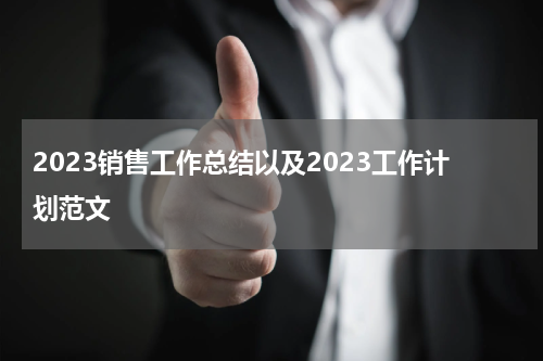 2023销售工作总结以及2023工作计划范文