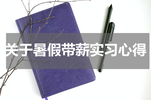 关于暑假带薪实习心得