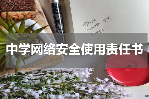 中学网络安全使用责任书