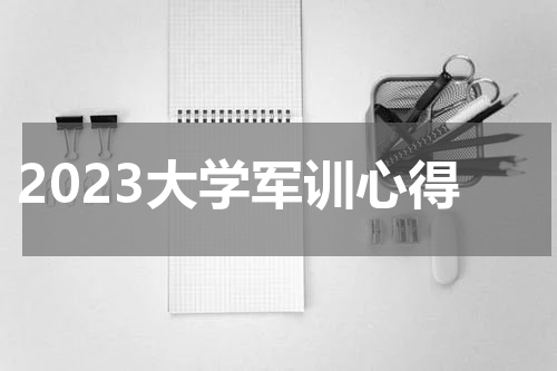 2023大学军训心得