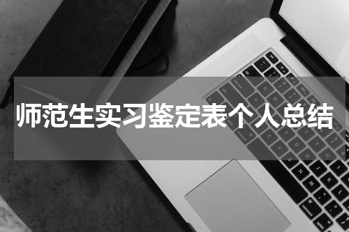 师范生实习鉴定表个人总结