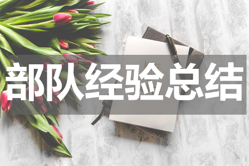 部队经验总结
