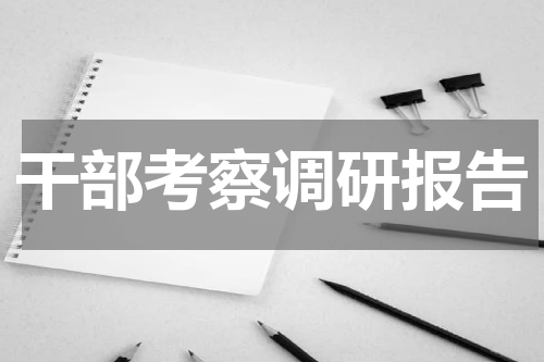 干部考察调研报告