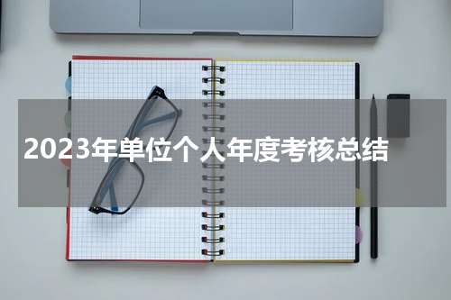 2023年单位个人年度考核总结