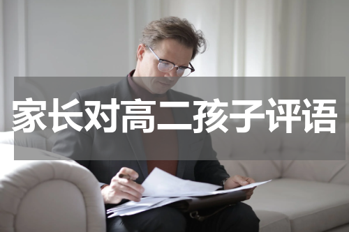 家长对高二孩子评语