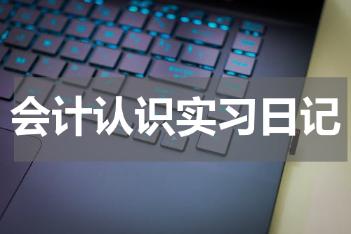 会计认识实习日记