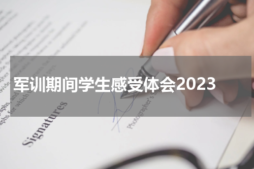 军训期间学生感受体会2023