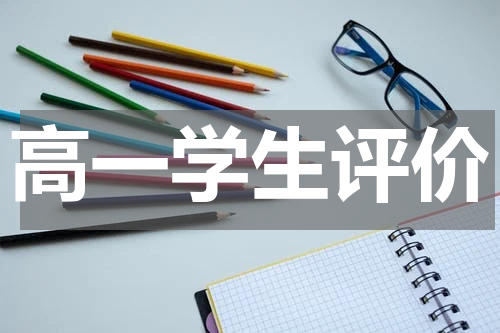 高一学生评价