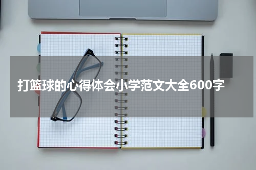 打篮球的心得体会小学范文大全600字