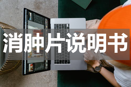消肿片说明书
