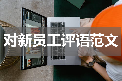 对新员工评语范文