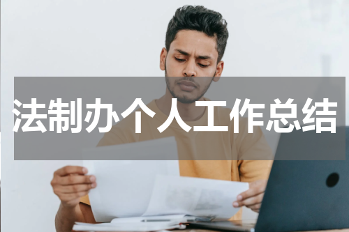 法制办个人工作总结