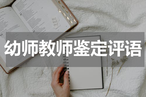 幼师教师鉴定评语