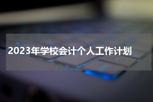2023年学校会计个人工作计划