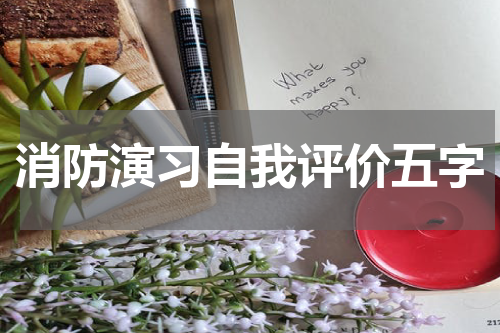 消防演习自我评价五字