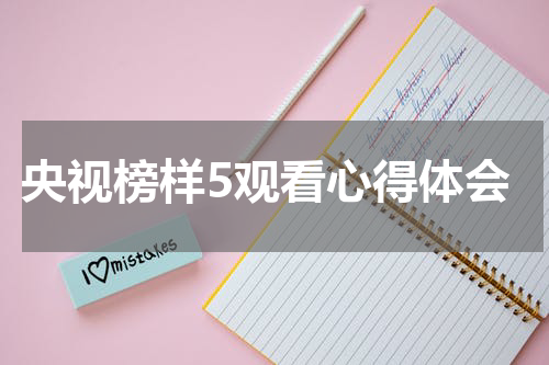 央视榜样5观看心得体会