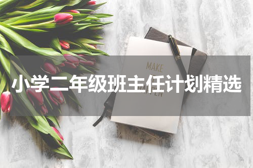 小学二年级班主任计划精选