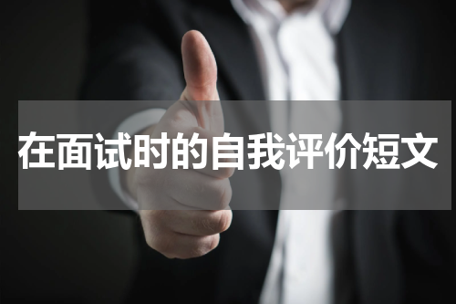 在面试时的自我评价短文