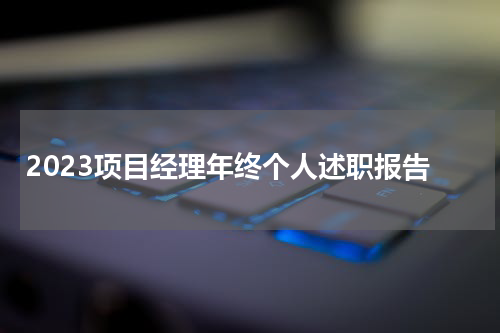 2023项目经理年终个人述职报告