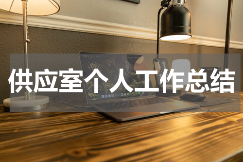 供应室个人工作总结