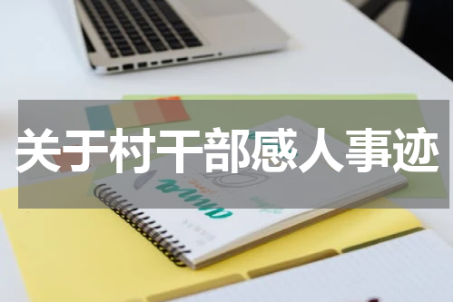 关于村干部感人事迹