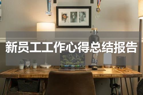 新员工工作心得总结报告