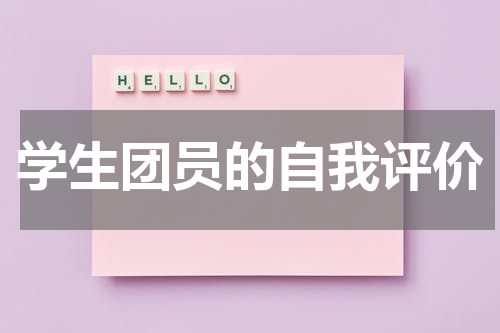 学生团员的自我评价