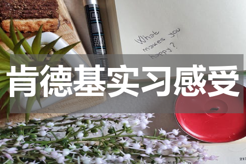 肯德基实习感受
