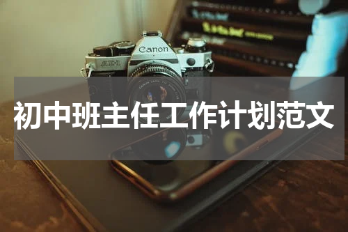 初中班主任工作计划范文