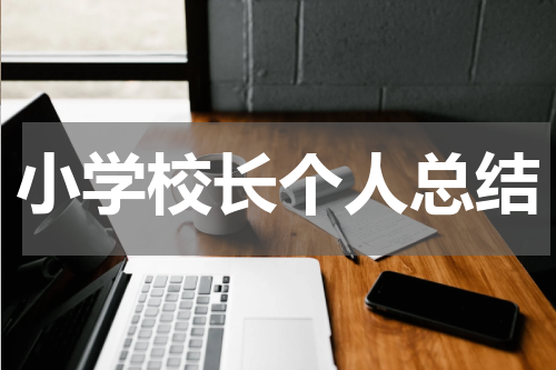 小学校长个人总结