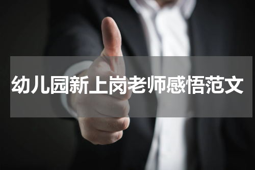 幼儿园新上岗老师感悟范文