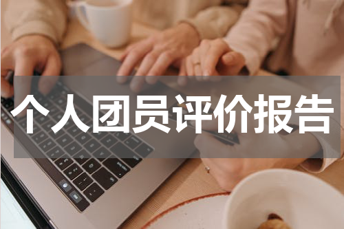 个人团员评价报告