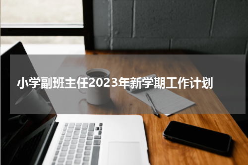 小学副班主任2023年新学期工作计划
