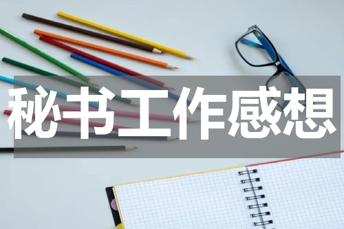 秘书工作感想