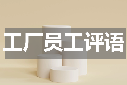 工厂员工评语