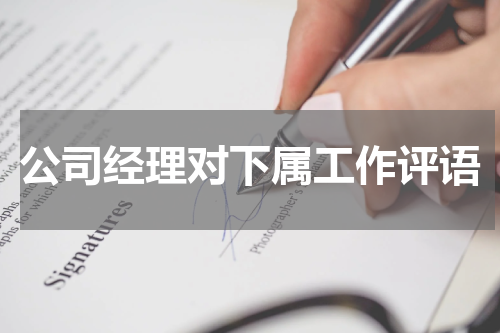 公司经理对下属工作评语