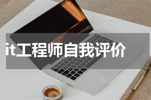 it工程师自我评价