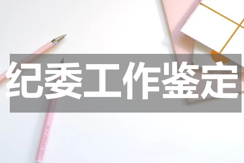 纪委工作鉴定