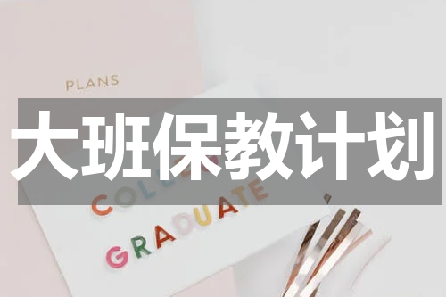 大班保教计划