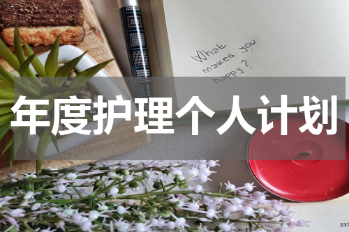 年度护理个人计划