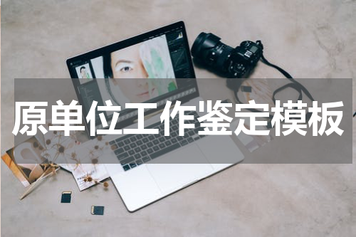 原单位工作鉴定模板