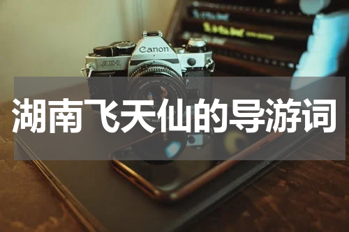湖南飞天仙的导游词