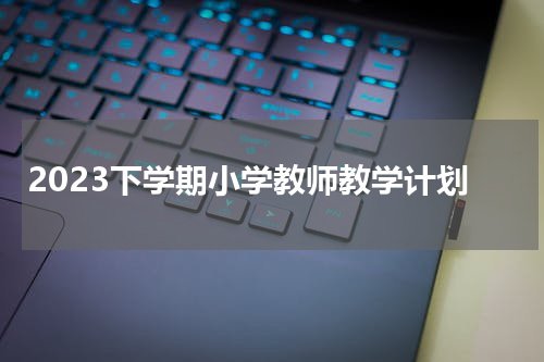 2023下学期小学教师教学计划