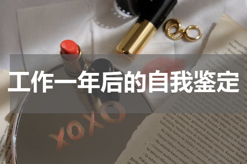 工作一年后的自我鉴定