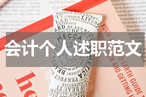 会计个人述职范文