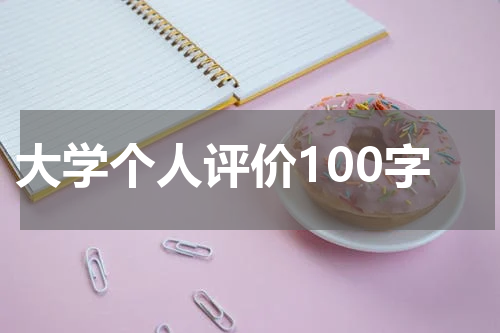 大学个人评价100字