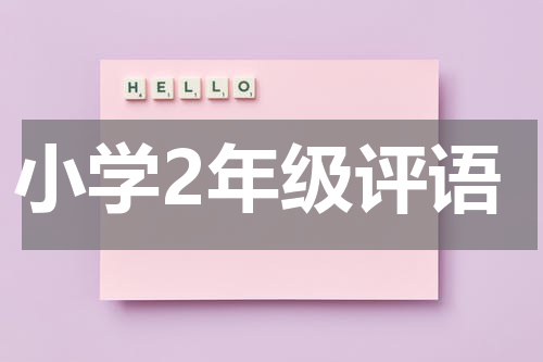 小学2年级评语