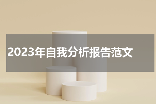 2023年自我分析报告范文